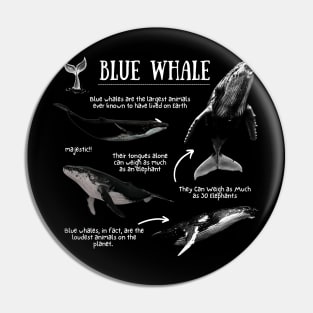 Blue Whale Fun Facts Pin