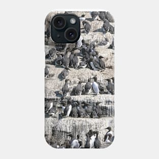 Guillemot terraces on the Farne Islands, Northumberland, UK Phone Case