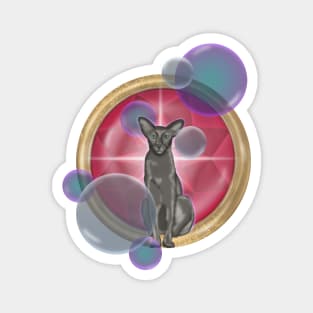 Oriental cat with soap bubbles on the background of a large red ruby Magnet