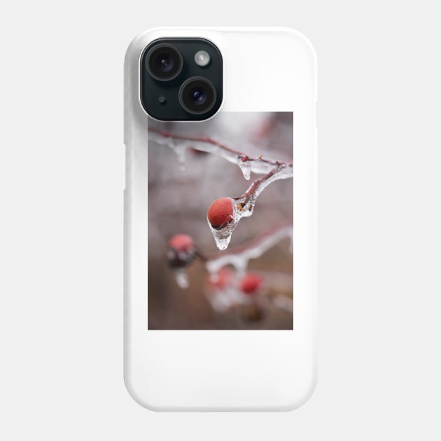 Frozen briar berries Phone Case by naturalis