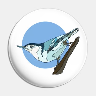 White Breasted Nuthatch on Blue Pin