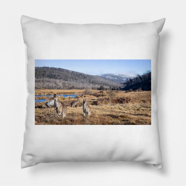 Kangaroos And Mountains Pillow by Geoff79