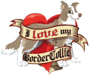 I Love My Border Collie - Lilac Magnet