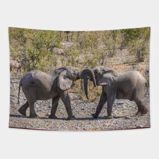 Namibia. Etosha National Park. Young Elephants Fighting. Tapestry