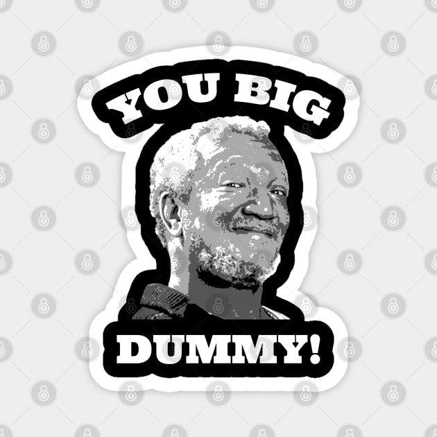 YOU BIG DUMMY! Magnet by Stevendan