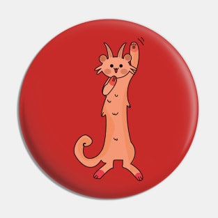 Cute Cat Pin