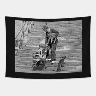 The Dogwalker Tapestry