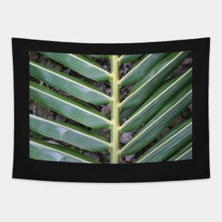 Tropical frond. Tapestry