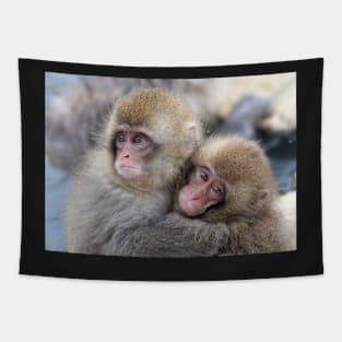 Snow monkey brothers? Tapestry