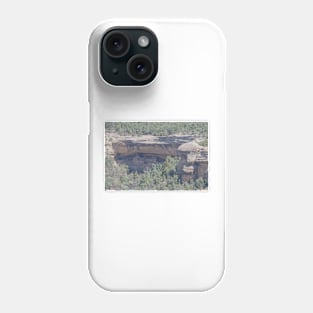 850_3818 Phone Case