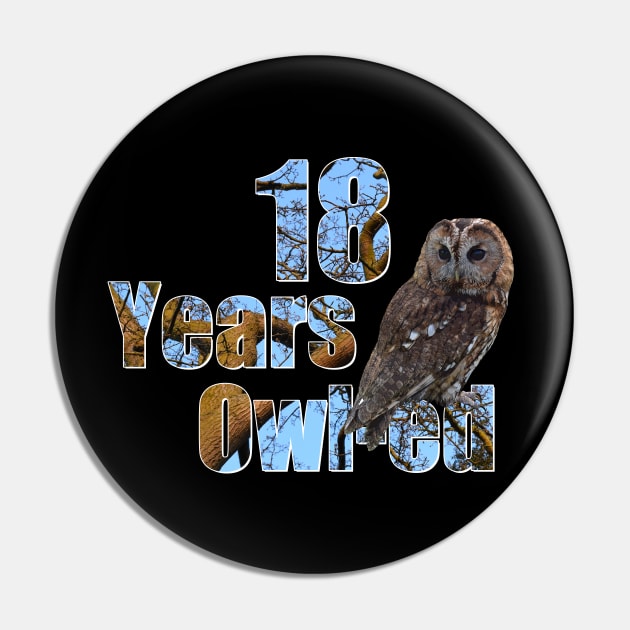 18 years owl-ed (18 years old) 18th birthday Pin by ownedandloved