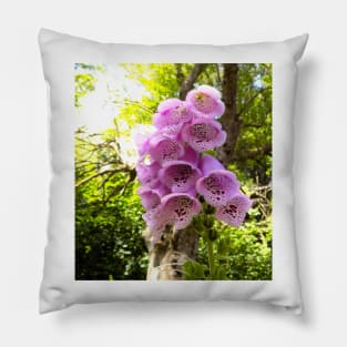 Pink Foxglove Pillow