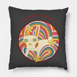 Rainbow Chaser Pillow