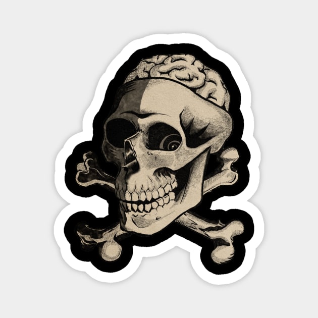 Skull and Cross bones Magnet by DeclanTIGERIllustration