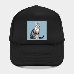 American Shorthair Cat Hat