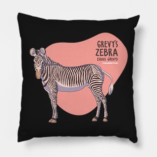 The Grevy's Zebra Pillow