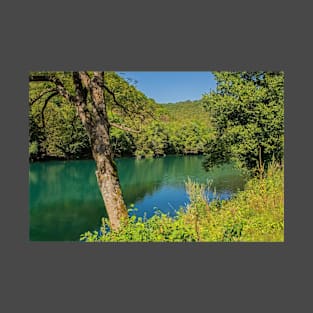 River Una Near Orasac in Bosnia T-Shirt