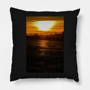 Spiderling gossamer sunset Pillow