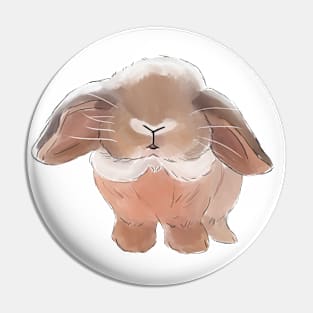 Holland Lop Brown Face _ Bunniesmee Pin