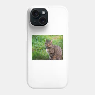 olb feline Phone Case