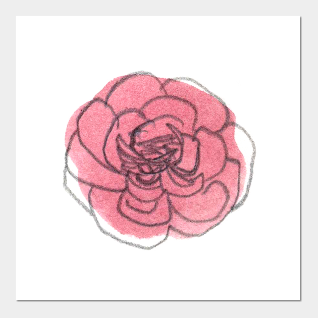 Discover Pink Carnation Solo 3 - Flower - Posters and Art Prints