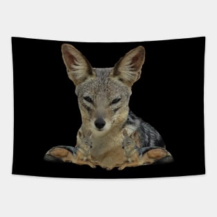 Jackal in Africa Tapestry