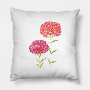 red pink purple Sweet William flower Pillow