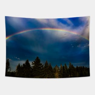 Retro Rainbow after Rainstorm Photography Tapestry