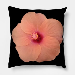 coral color flower, hibiscus, flowers, blossom, Pillow