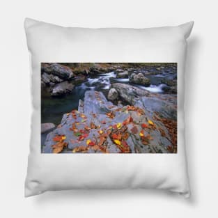 Little Pigeon River Great Smoky Mountains National Park Pillow