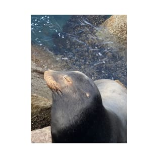 Sea Lion Close Up! T-Shirt