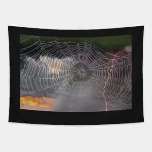 The Web We Weave Tapestry