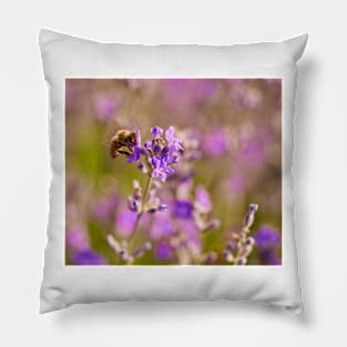 Honeybee on a lavender flower Pillow