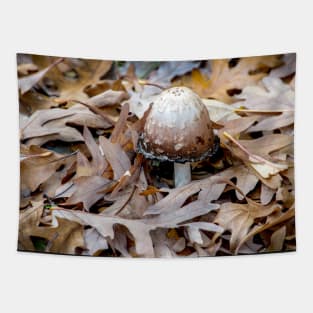 Ink cap mushroom on fall oak leaves Tapestry