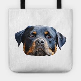 The Rottweiler the best dog for you Tote