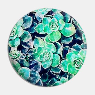 Succulent watercolor Pin