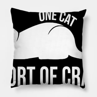 One Cat Short of Crazy Funny Gift For Pet Lover Pillow