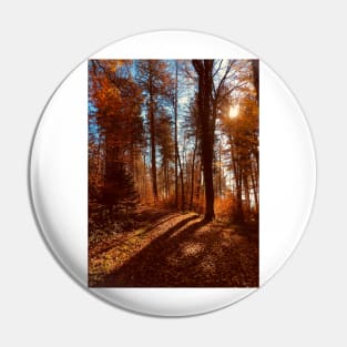 Sun rising behind autumn trees Pin