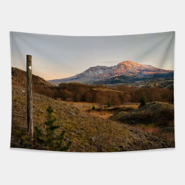 Mt St Helens Trail Marker Tapestry by Rebekah Slick