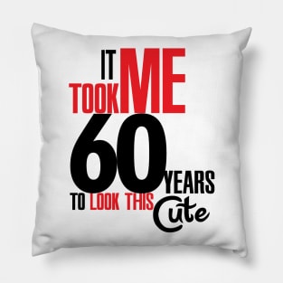 It took me 60 years Pillow