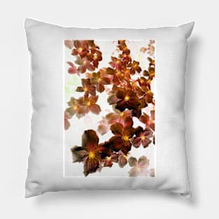 Designer 103365 x11 Pillow