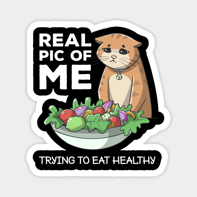 Funny Diet Cat Weightloss Fasting Gym Workout Fitness Health Magnet by TellingTales