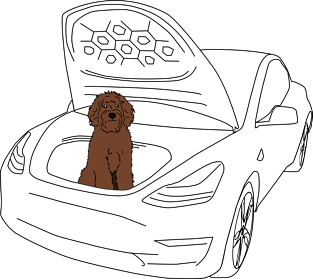 Labradoodle in a Tesla Model 3 Frunk Magnet