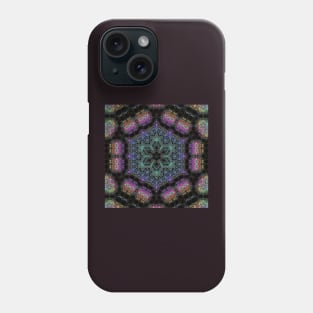 Elemental Ecstasy 42 Phone Case