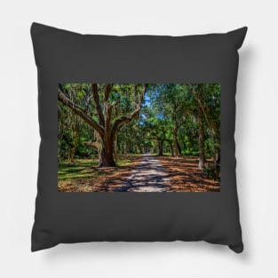 Cumberland Island National Seashore Pillow