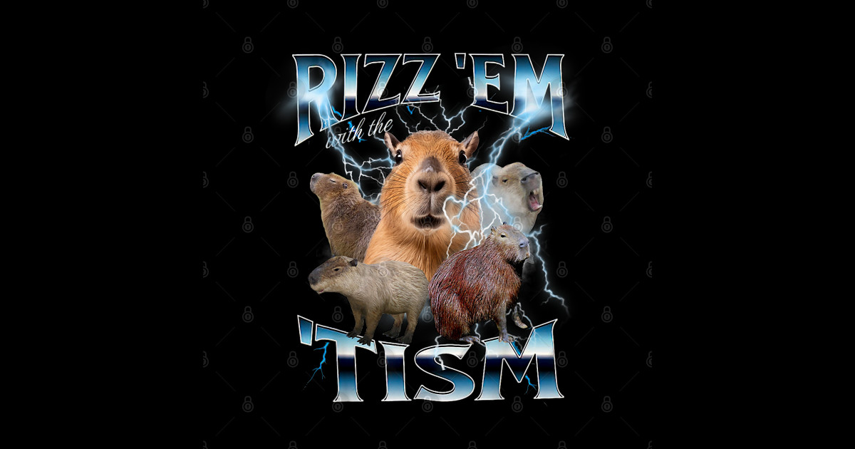 Autism Rizz Em With The Tism Meme Autistic Capybara 26 - Capybara ...