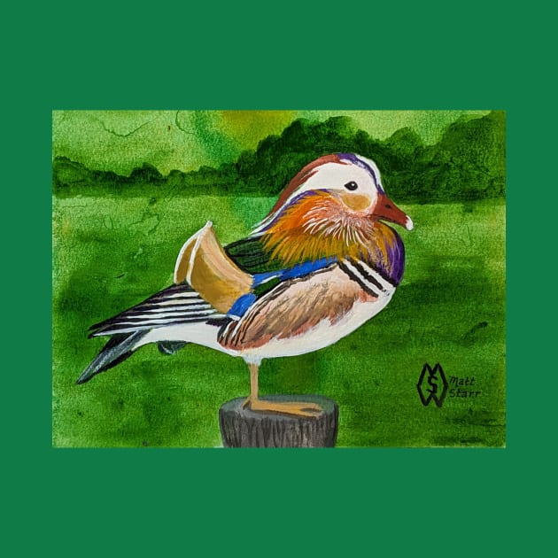 Mandarin duck in the marsh by Matt Starr Fine Art