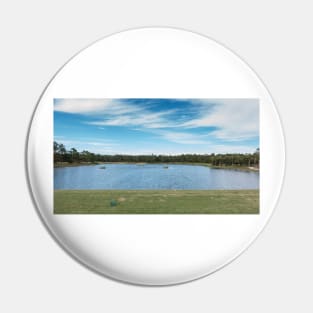 The Driving Range in Florida Pin