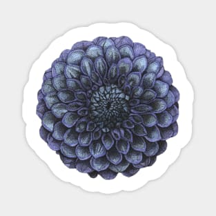 Blue and Purple Dahlia Flower Magnet