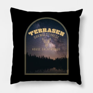 Throne of Glass - Terrasen Pillow